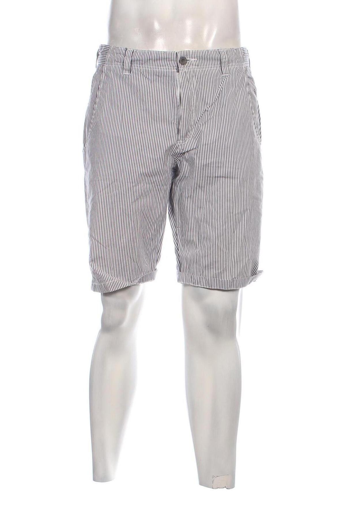 Herren Shorts Springfield, Größe L, Farbe Mehrfarbig, Preis € 17,34