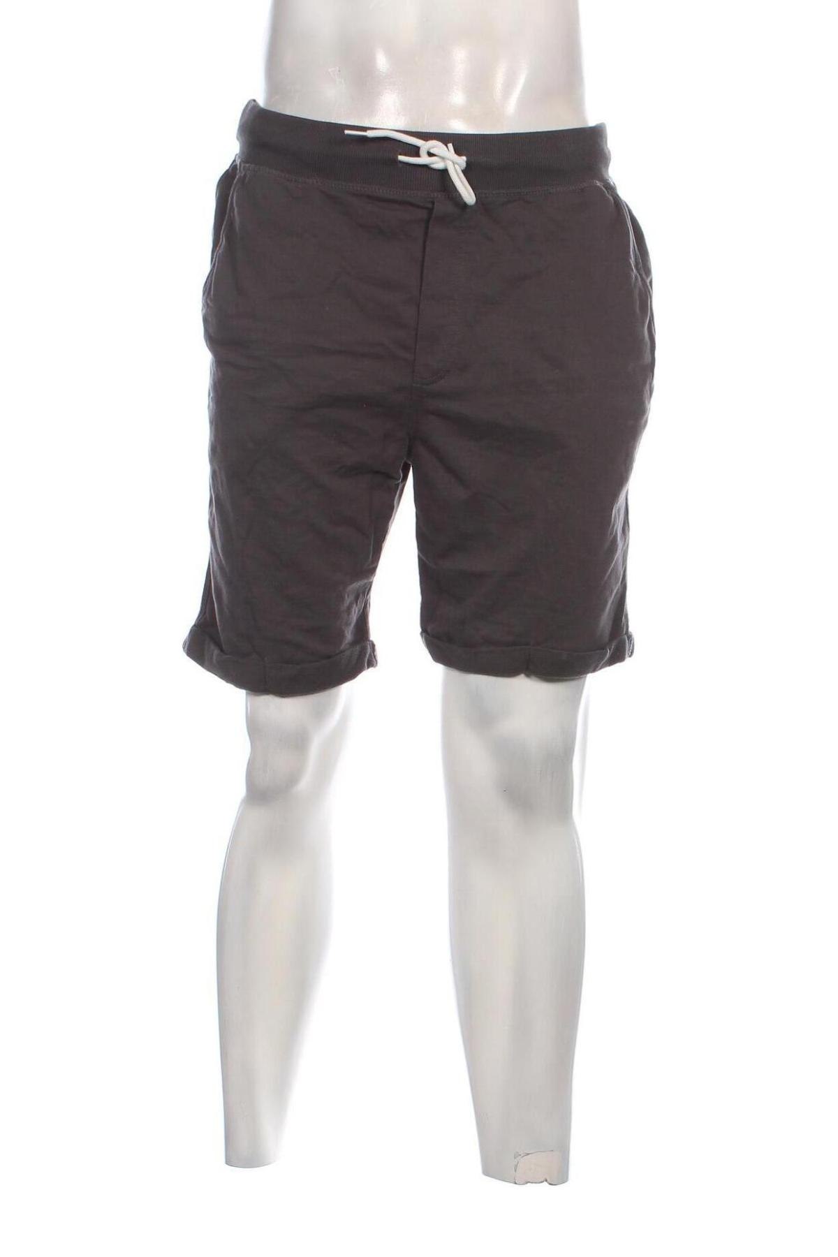 Herren Shorts Terranova, Größe L, Farbe Grau, Preis € 5,99