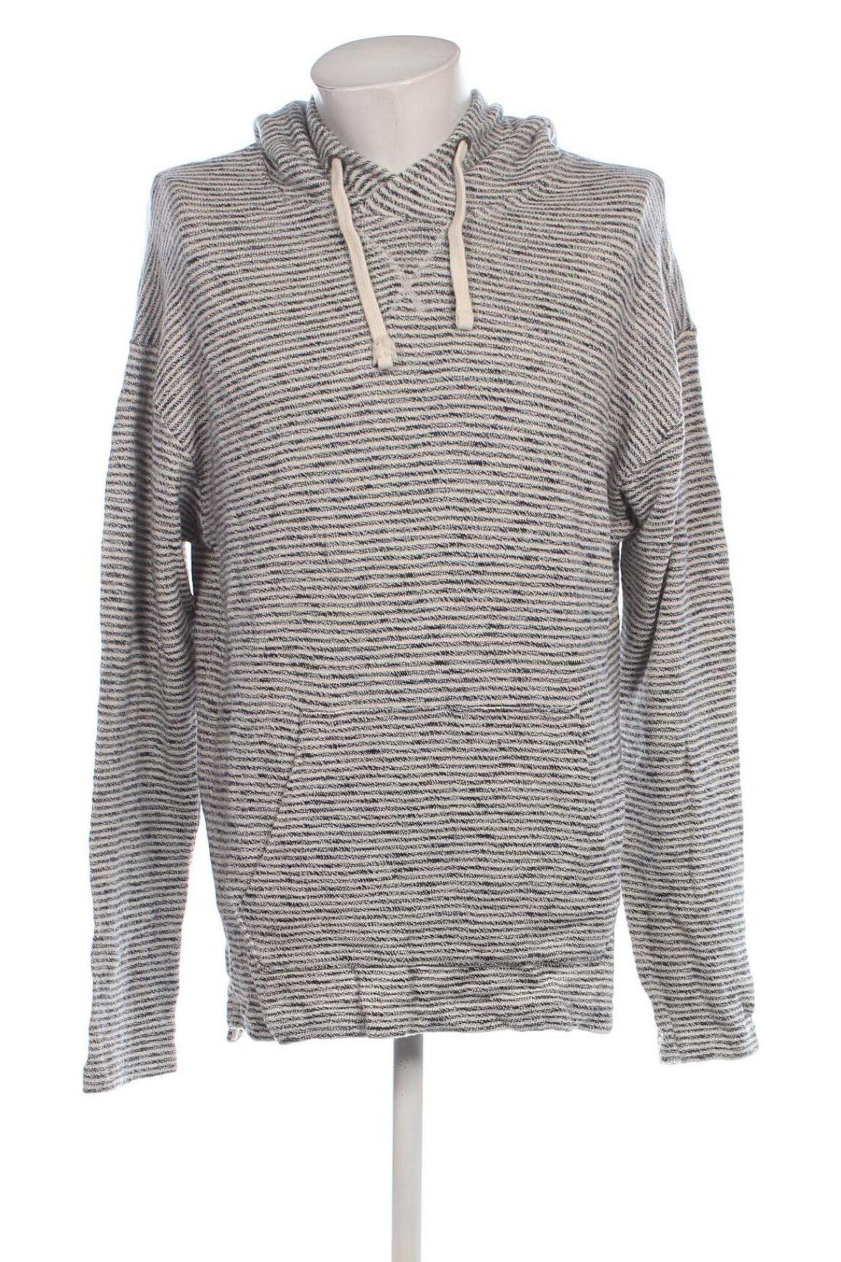 Herren Sweatshirt American Eagle, Größe L, Farbe Mehrfarbig, Preis € 14,99