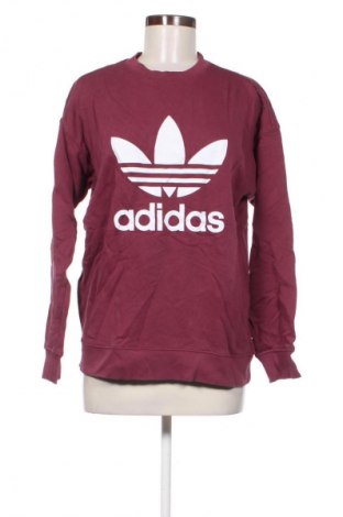 Dámská halenka Adidas, Velikost L, Barva Fialová, Cena  649,00 Kč