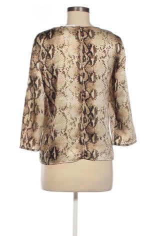 Damen Shirt Jake*s, Größe M, Farbe Mehrfarbig, Preis € 19,44