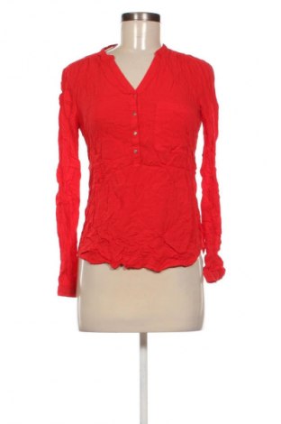 Damen Shirt Pimkie, Größe S, Farbe Rot, Preis 6,99 €