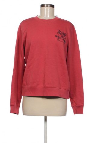Damen Shirt Scotch & Soda, Größe M, Farbe Rot, Preis € 122,99
