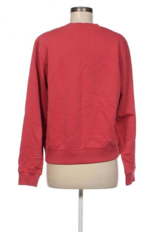 Damen Shirt Scotch & Soda, Größe M, Farbe Rot, Preis € 122,99