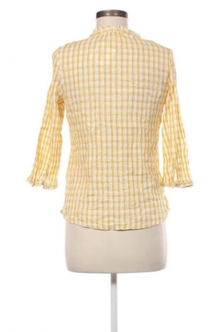 Bluzka damska Seasalt Cornwall, Rozmiar S, Kolor Kolorowy, Cena 88,99 zł