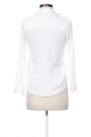 Damen Shirt Sinsay, Größe XS, Farbe Weiß, Preis 9,72 €