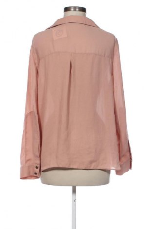 Damen Shirt Zara, Größe XL, Farbe Beige, Preis 16,22 €