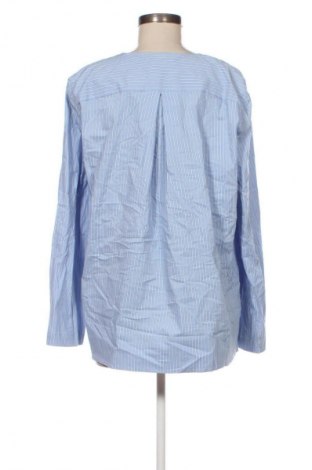 Damen Shirt Zara, Größe M, Farbe Mehrfarbig, Preis € 10,99