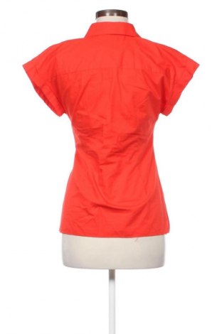 Damen Shirt Zara, Größe S, Farbe Rot, Preis 10,30 €