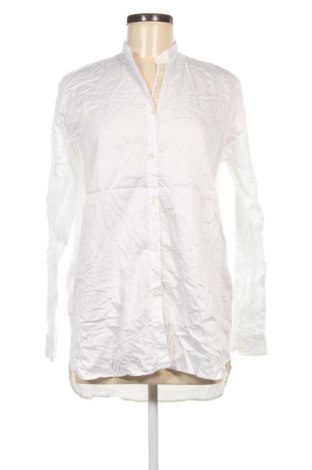 Damenbluse Aglini, Größe XL, Farbe Weiß, Preis 23,99 €