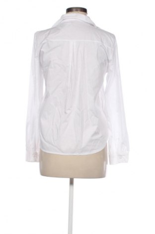 Damenbluse Kontatto, Größe M, Farbe Weiß, Preis € 64,99