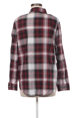 Damenbluse Laura Torelli, Größe XL, Farbe Mehrfarbig, Preis 10,99 €