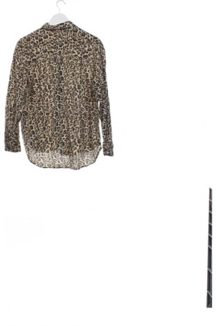 Damenbluse Stradivarius, Größe XS, Farbe Mehrfarbig, Preis € 12,79