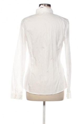 Damenbluse Tom Tailor, Größe M, Farbe Weiß, Preis 56,37 €