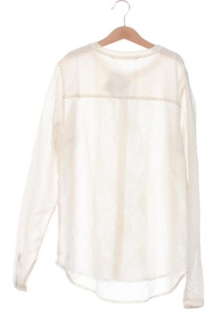 Damenbluse Tom Tailor, Größe XS, Farbe Mehrfarbig, Preis € 9,99