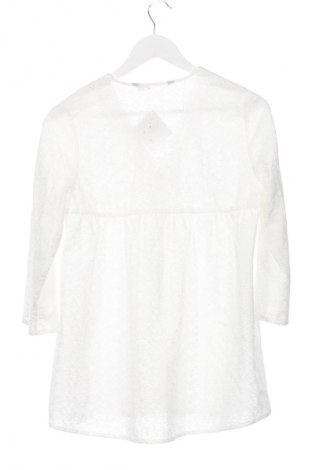 Damenbluse Zara, Größe XS, Farbe Weiß, Preis € 13,82