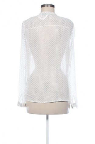 Damenbluse Zara, Größe L, Farbe Mehrfarbig, Preis 20,99 €