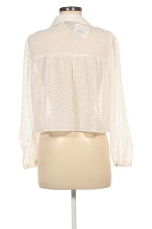 Damenbluse Zara, Größe L, Farbe Ecru, Preis 16,99 €