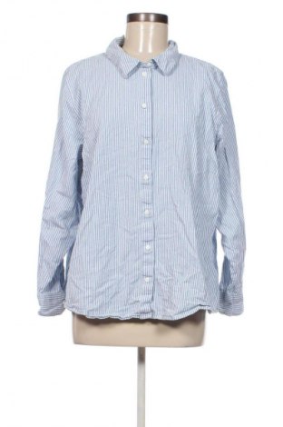 Damenbluse Zizzi, Größe L, Farbe Mehrfarbig, Preis € 46,65