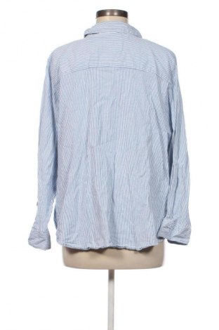 Damenbluse Zizzi, Größe L, Farbe Mehrfarbig, Preis € 46,65