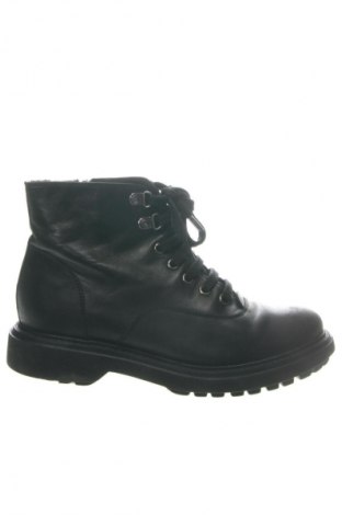 Damen Stiefeletten Geox, Größe 38, Farbe Schwarz, Preis 59,34 €