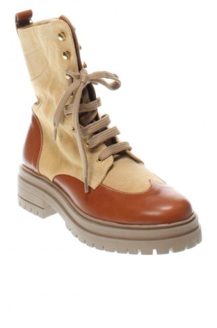Damen Stiefeletten Morgan, Größe 36, Farbe Mehrfarbig, Preis € 88,05
