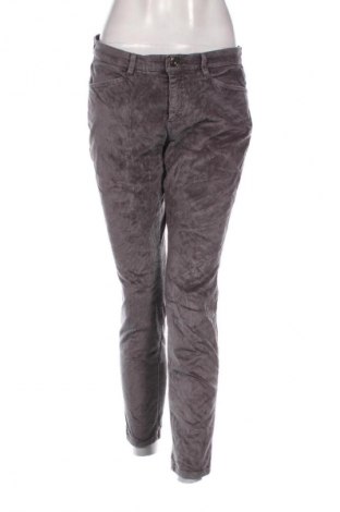 Damen Cordhose Brax, Größe L, Farbe Mehrfarbig, Preis € 21,99