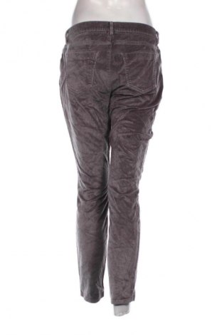 Damen Cordhose Brax, Größe L, Farbe Mehrfarbig, Preis € 21,99