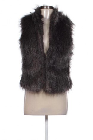 Damenweste Calvin Klein Jeans, Größe S, Farbe Mehrfarbig, Preis 34,78 €