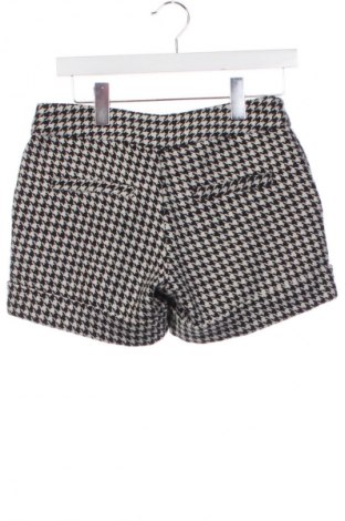 Damen Shorts Soaked In Luxury, Größe XS, Farbe Mehrfarbig, Preis € 65,60
