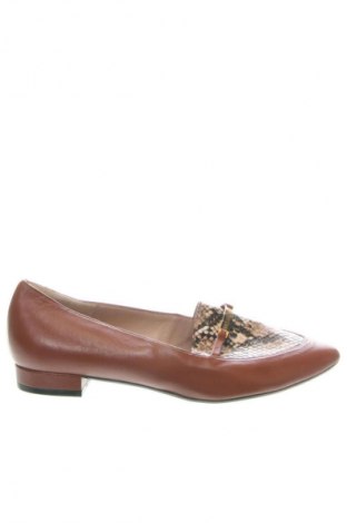 Damenschuhe Cerruti 1881, Größe 38, Farbe Mehrfarbig, Preis € 197,99