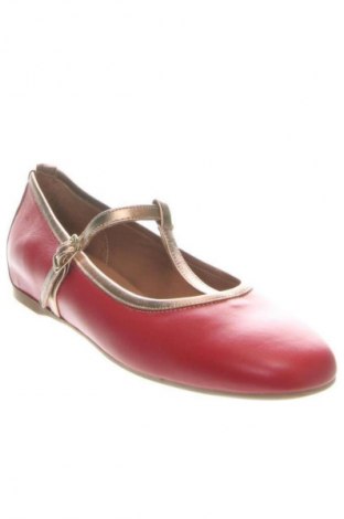 Damenschuhe Divine Follie, Größe 39, Farbe Rot, Preis € 157,99