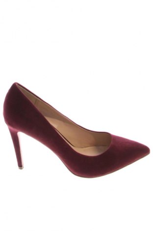Damenschuhe Dorothy Perkins, Größe 41, Farbe Rot, Preis 19,44 €