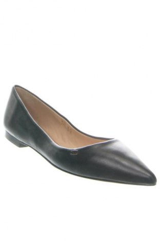 Damenschuhe Elisabetta Franchi, Größe 39, Farbe Schwarz, Preis € 259,99