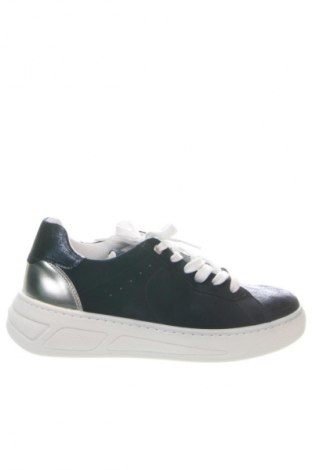 Damenschuhe Geox, Größe 41, Farbe Blau, Preis € 117,99
