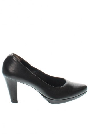 Damenschuhe Paul Green, Größe 38, Farbe Schwarz, Preis € 33,99