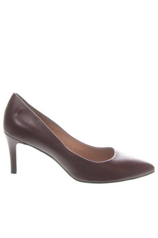 Damenschuhe Pollini, Größe 37, Farbe Rot, Preis € 197,99