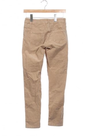 Damenhose Closed, Größe XS, Farbe Beige, Preis € 87,47