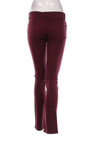 Damenhose Terranova, Größe S, Farbe Rot, Preis € 24,00