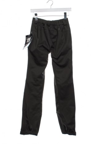 Damenhose für Wintersport DLX, Größe XS, Farbe Grau, Preis 76,26 €