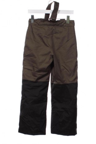 Spodnie damskie do uprawiania sportów zimowych The North Face, Rozmiar M, Kolor Zielony, Cena 444,99 zł