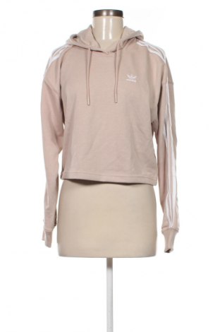 Damen Sweatshirt Adidas Originals, Größe XS, Farbe Beige, Preis 24,48 €