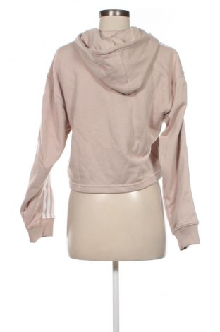 Damen Sweatshirt Adidas Originals, Größe XS, Farbe Beige, Preis 24,48 €