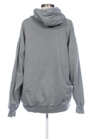 Γυναικείο φούτερ Brandy Melville, Μέγεθος L, Χρώμα Γκρί, Τιμή 10,99 €