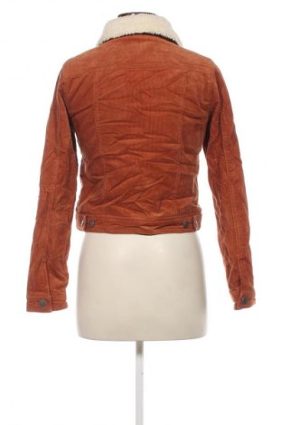 Damenmantel Anti blue, Größe XS, Farbe Braun, Preis € 40,99