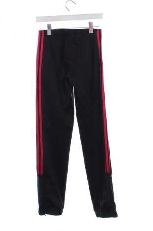 Damskie spodnie sportowe Adidas, Rozmiar XS, Kolor Czarny, Cena 137,99 zł
