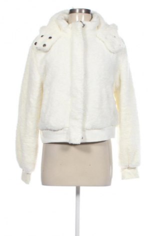Damenjacke Aeropostale, Größe L, Farbe Ecru, Preis € 66,99