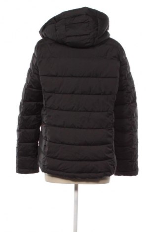 Damenjacke DKNY, Größe XL, Farbe Schwarz, Preis 104,99 €