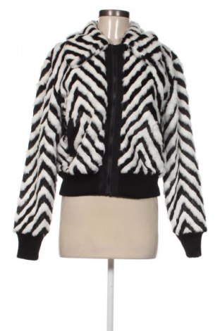 Damenjacke Express, Größe L, Farbe Mehrfarbig, Preis € 19,99