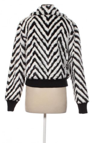 Damenjacke Express, Größe L, Farbe Mehrfarbig, Preis € 19,99